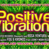 Zero One Live @ Positive Vibrations 2013