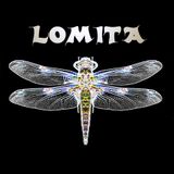 Lomita - Darkside