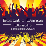 Ecstatic Dance Danspaleis030 DJ MIX 18th dec 2015 (FULL SHOW)