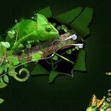Moysikes Periptyxeis - s02e03 - Jungle 3/10/13 - NovaFM 106