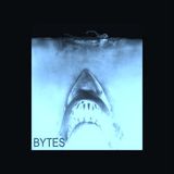 BYTES
