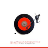 Nu Jazz Sound Experience Vol.2