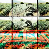 Malnacideo Bandero - Malnacida Dj (XALISCO SOUND SYSTEM )