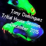 Tony Dominguez - Tribal House Session (December 2015)