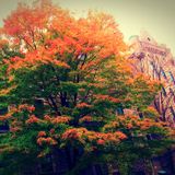 LDG Podcast#18 - Podcast d'Automne