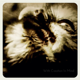 With Creation In Mind