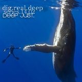 DigRealDeep_episode_1402