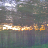 Landscape With Trees