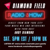 Radio Pure Gently - The Diamond Field Radio Show - 27-02-2016