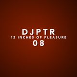 DJPTR - 12 Inches of Pleasure 08