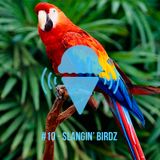ICE CREAM #10 -SLANGIN' BIRDZ
