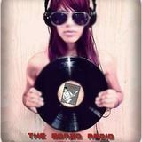 The Gonzo Radio by Fernando Rincón- Fenomenal II