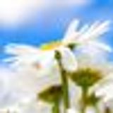 K103 Sommar - Normer - K103 (120714)