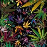 Herbal Vybez