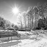 SunnyWinterMix2015