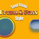 Soul Flava Drum & Bass Style