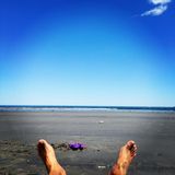 Summer Daze