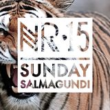 Sunday Salmagundi Nr.15 - Mixed by Vatsgoed (Mano Fico)