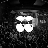 3LAU @ Music Fights Aids, Pacha NYC New York, United States 2014-11-30