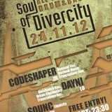 SQUNC DJ Set @ Soul of Divercity, Zurich (24.11.2012)
