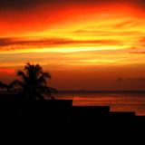 Heat Of The Night (part one)