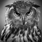 Beyond the Wizards Sleeve - Re - Animations - Vol.1 - (Jon Ian Clarke Mix)