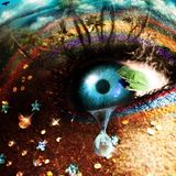 The Wild Cat's - <<(( OCEAN IRIS))>>