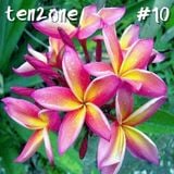 ten2one #10