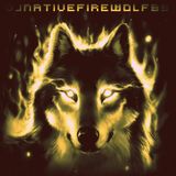 DJNativefirewolf Flashback January 2005 Mix 3