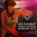 Sounds from Sunrise Kingdom (Midburn 2014)