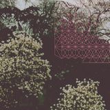 Printemps En Automne