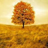 al Nai'r - Autumn Mixtape V.1