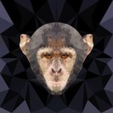 David Reyner @ Cirque Paradis Part 2 (After dOP live) 02/11/2012