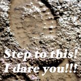 dani - step to this! i dare you!!! (dubstep mix)