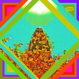 The Record Shop Radio Show 15-07-14 / Saintseneca / Morgan Delt / Arc Iris / Ryley Walker