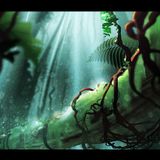 Deeper into the Jungle