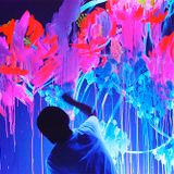Sundance Experiment