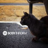 R-9_-_Live@Body_Inform_20140809