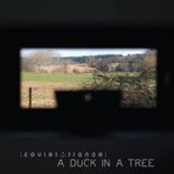 A Duck in a Tree 2014-07-05 | Turn Left, and Left Again - Second Anniversary Special - Part 2