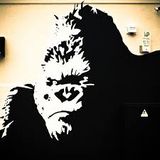 Jungle-Telegrafen m/ Dj Apecat #51