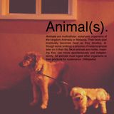 Animal(s).