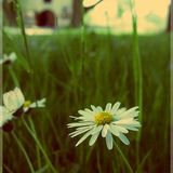Summery good part 1