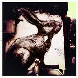 Bad Dreams