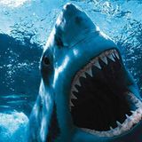 The Deep End: JAWS mixtape