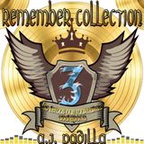A. J. Padilla Remember Collection 3