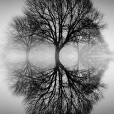 Time & Space FM 017