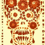 Popstep Dub Symphony Volume V (Dec 2010)