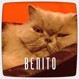 ESNAOLA! plays para Benito!