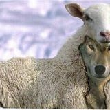 Wolf in the sheepfold #prequel : Born in the pain