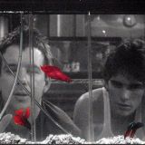 Rumble Fish beats (1983)